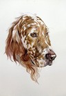 Original Watercolour Custom Pet Portrait Dog Cat - Any Breed From Your Photos
