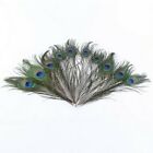 20pcs Real Natural Peacock Tail Eyes Feathers 9-12 Inches   About 23-30cm Us
