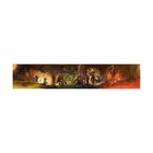 Wotc D d 4e Dungeon Master s Screen  4th Ed  Vg 