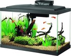Aquarium Fish Tank Starter Kit With Led Lighting 10 Gallon Fish Tank