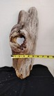 Driftwood With Large Hole Wood Working Craft   Decor Piece