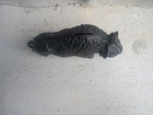 Vintage Cast Iron Buffalo Bank 8    Long