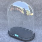 Vintage Glass Cloche Dome Collectible Display Case 13 58x10 04x5 71 34 5cm High