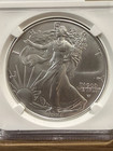 2026  1 American Eagle 1 Oz Bu