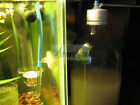 New 1  Co2 Glass Diffuser For Aquarium With Free Suction Cup  ship From Usa 