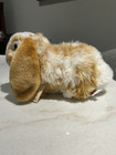 Nwt Webkinz Signature Lop Bunny With Unused Code