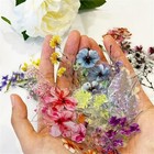 50pcs Transparent Flower Sticker For Scrapbooking Nature Plant Stickers Floral S