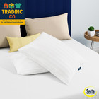 Won t Go Flat Standard queen Size Set Of 2 Down Alternative Bed Pillows  Extra L