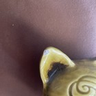 1960s Japan  Tall Cat