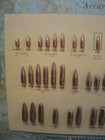 Vintage Hornady Bullet Ammunition Store Display Board Advertising Sign