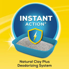 2 Pack Purina Tidy Cats Instant Action Clumping Cat Litter  Floral Scent  35 Lb