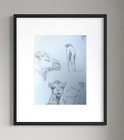 Original Animal Drawing  Camel  Hand Drawn Pencil On Paper 12x9 Art