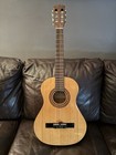 Jasmine By Takamine Guitar With Guitar Bag