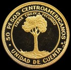 1970 Gold Proof Central America 50 Pesos Economic Integration Coin In Cachet