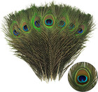     24pcs Peacock Feathers Long Natural  35-40 Inch 90-100 Cm Cruelty Free 
