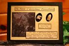Dropped   Shot Civil War Bullets From Gettysburg In Matted Display Case With Coa