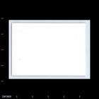 Old Vintage Photo Men Women Sitting Around Table Outside