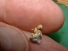 Nevada Gold Carbonate Specimen  46  Gram Auriferous Rock
