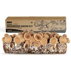 Organic Shiitake Mushroom Kit  start Growing Right Away 