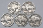 Five 5 Full Date Buffalo Nickels With Five Different Dates 