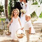 2000 Pieces White Artificial Silk Rose Flower Petals Wedding Party Decorations