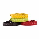 Pet Dog Genuine Real Leather Collar Cat Puppy Neck Buckle Adjustable Pure Color