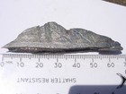 25 Grams 67x17x6mm Brenham Iron Meteorite Cut Slice Fragment With A Coa