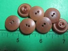  7  Vintage 3 4  Brown Vegetable Ivory  2-hole Buttons-7 43