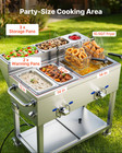 Outdoor Propane Deep Fryer 2 Burner Commercial Fryer Cart W  Wheels