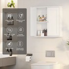 Wall Mounted Bathroom Storage Medicine Cabinet Cupboard Shelf 2 Door Organizer A