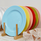 60pcs Colorful Disposable Plastic Plates  Heavy Duty Plates For Wedding party  3