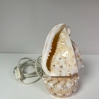 Vintage Conch Sea Shell 1960s 70s Lighting 7  Table Lamp Coastal Night Light