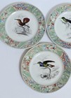 5 Hummingbirds Of The World Plates Vista Alegre Portugal For Bombay Company