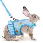 Cute Rabbit Harness Leash Set Breathable Mesh Vest Adjustable Bunny Guinea Pig
