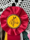 Reserve Champion Horse Show Ribbon   Red Yellow White Equestrian Award   Vintage
