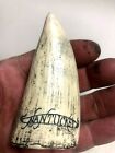Scrimshaw Reproduction Tooth    Dakota  Out Of Nantucket