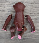 Vintage Tumbling Monkey Toy Occupied Japan Celluloid Wind-up No Key