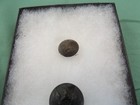 2  Eagle Buttons   Dug At Cold Harbor In The 1960s