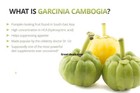 6 X Bottles 360 Capsules 3000mg Daily Garcinia Cambogia Hca 95  Weight Loss Diet
