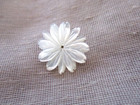 New Hand-carved Pretty White Mother Of Pearl Tropical Flower Button   20 5mm