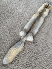 Kit Fox Pelt Fur Hide Tanned Quality Log Cabin Decor Man Cave Art Red Grey