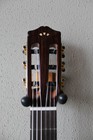 Brand New Cordoba C7-ce Nylon String Acoustic electric Classical Guitar