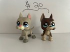 Selling Littlest Pet Shop Local Only   About Two Or Three Fake