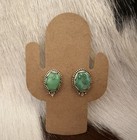 Sonoran Gold Turquoise Navajo Style Brushed Sterling Silver Stud Earrings