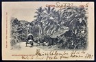Ceylon Kevii 1906 Postcard W 3c Stamp Pair To Birmingham-england Colombo Scenery