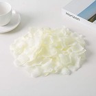 Silk Rose Petals Bulk 1200 Pcs Ivory Flower Decoration For Wedding