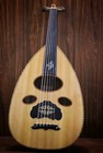 Arabic Professional Oud Zeryab 1 - Made By Zeryab  Oud Instruments