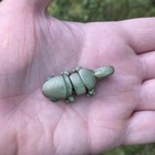 Chameleon Green Body - Green Eyes Pocket Pet  3d Printed Little Flexible Animal