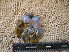 Ice Blue Polka Dot Agate From Oregon Tumbled   Polished Stones 8 Ounce Lot