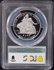 2004 W  100 Proof Platinum 1oz Ounce Eagle Statue Of Liberty Pcgs Pr69 Dcam